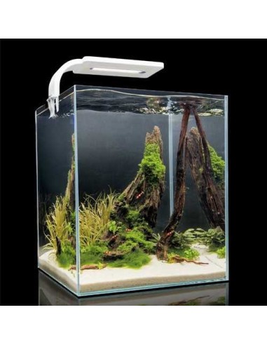 AQUAEL ACUARIO COMPLETO SHRIMP BLANCO 