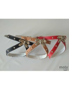 MOLY PETRAL CUERO CON FORNITURA 