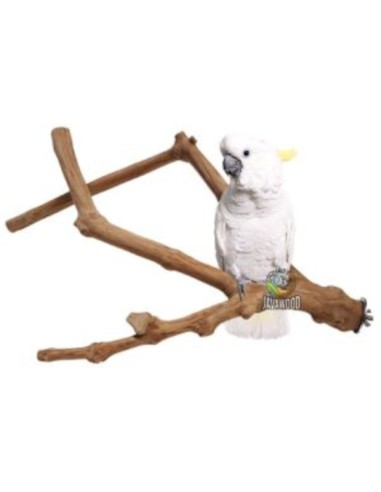JAVA WOOD PERCHA MULTIBRANCH EXTRA-GRANDE PARA LOROS 