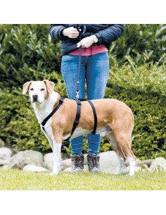 TRIXIE ARNÉS GUÍA SOFT L-XL (75 - 100 CM) M-L (50 - 75 CM) S-M (40 - 65 CM) XS-S (30 - 40 CM) - 2 2