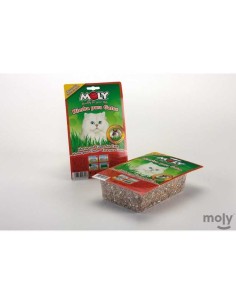 MOLY HIERBA PARA GATOS 