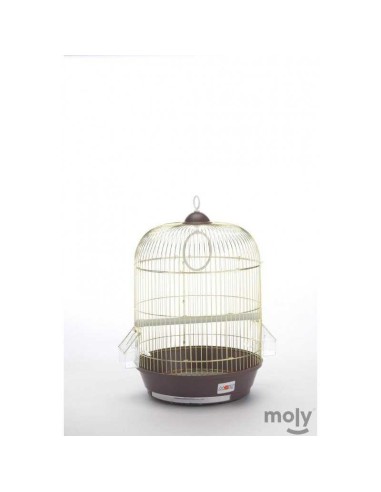 MOLY JAULA MANILA DORADA - 53 X 33 CM