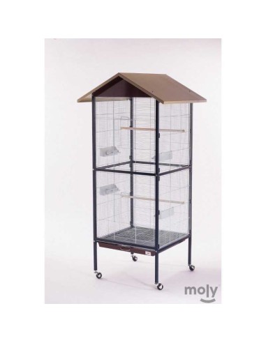 MOLY PAJARERA KENIA - 60 X 60 X 167 CM