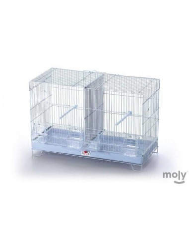 MOLY JAULON DE CRIA 58 X 32 X 37
