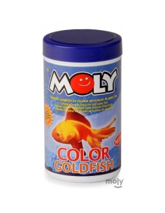 MOLY GOLDFISH COLOR ESCAMAS - 2 2