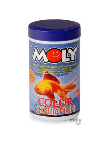 MOLY GOLDFISH COLOR ESCAMAS - 3