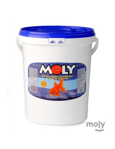 MOLY GOLDFISH COLOR ESCAMAS - 5