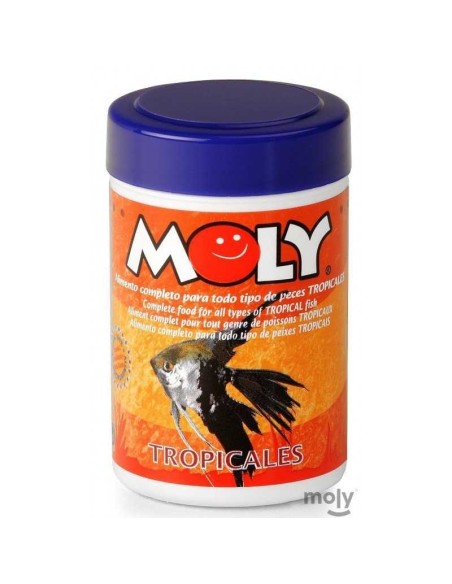 MOLY TROPICALES - 2