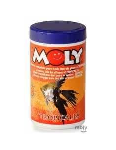 MOLY TROPICALES - 2 2
