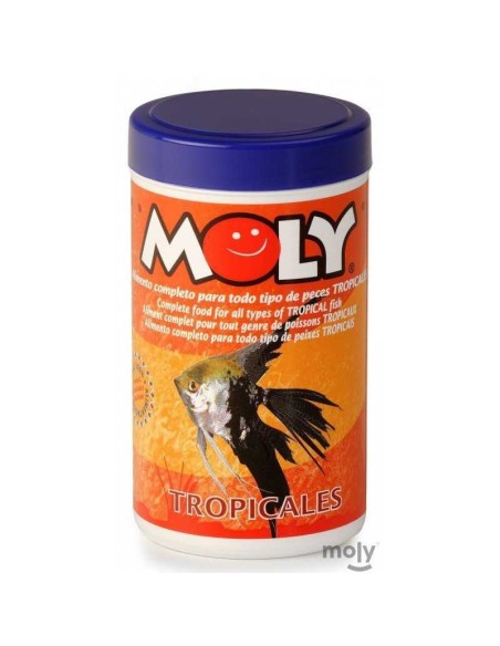 MOLY TROPICALES - 3
