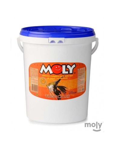 MOLY TROPICALES - 4