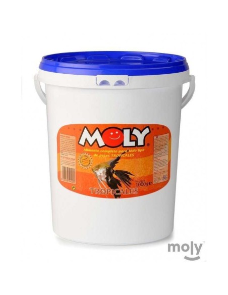 MOLY TROPICALES - 4