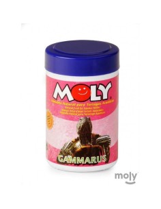 MOLY GAMMARUS - 2