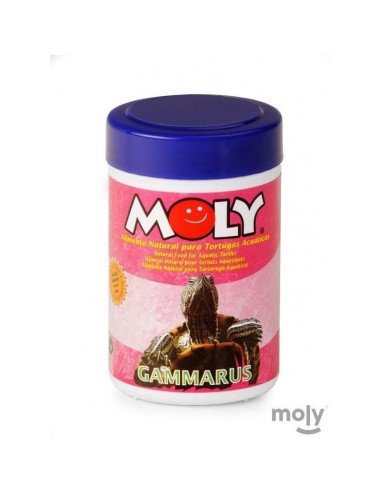 MOLY GAMMARUS - 2