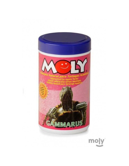 MOLY GAMMARUS - 3
