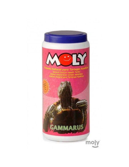 MOLY GAMMARUS - 4