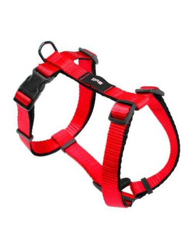 BULL ARNES BASIC  - 2