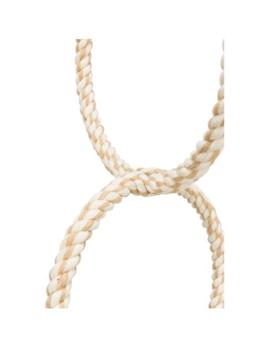 TRIXIE JUGUETE DE ARO CON CUERDA PARA PAJAROS - Ø16 CM Ø16 CM - 3