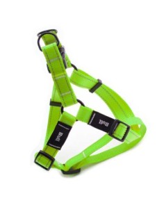 BULL PETRAL FLUOR  2