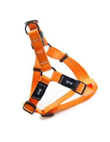 BULL PETRAL FLUOR  - 3