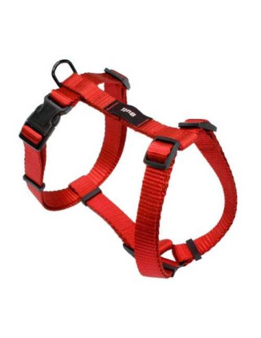 BULL ARNES LISO  - 2