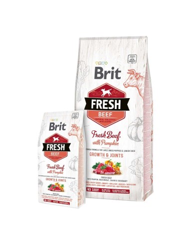 BRIT FRESH BEEF & PUMPKIN PUPPY LARGE 12 KG 2 5 KG - 2