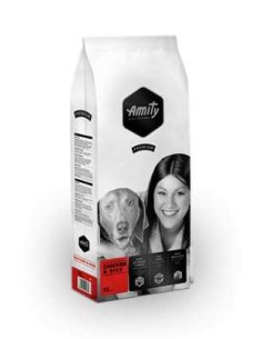 AMITY CHICKEN & RICE - 2