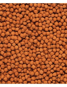 VERSELE LAGA NUTRIBIRD BEO KOMPLET - 500 GR 500 GR - 2 2