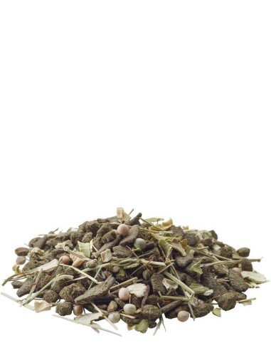 VERSELE LAGA NATURE DEGUS - 700 GR - 2