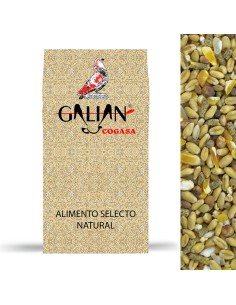 GALIAN COGASA MIXTURA AVES DE CORRAL GALIAN - 20 KG 20 KG - 3