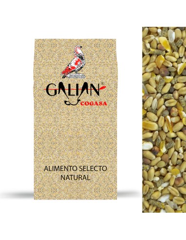 GALIAN COGASA MIXTURA AVES DE CORRAL GALIAN - 20 KG 20 KG - 3