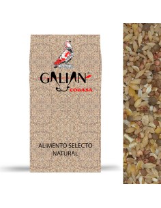 GALIAN COGASA MIXTURA GALLINAS DE CORRAL GALIAN - 20 KG 20 KG - 3