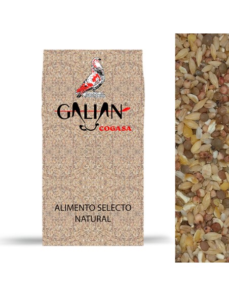 GALIAN COGASA MIXTURA GALLINAS DE CORRAL GALIAN - 20 KG 20 KG - 3