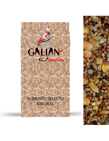 GALIAN COGASA MIXTURA CRIADERO CON MAIZ Nº2 - 20 KG 20 KG - 3