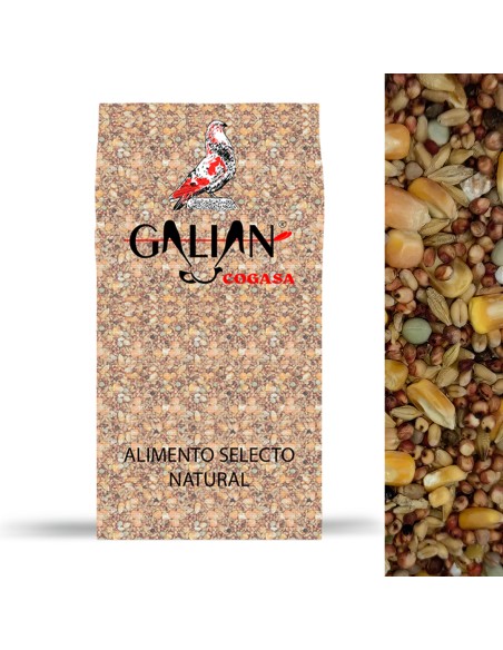 GALIAN COGASA MIXTURA CRIADERO CON MAIZ Nº2 - 20 KG 20 KG - 3