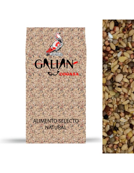 GALIAN COGASA MIXTURA CRIADERO SIN MAIZ PARA PALOMOS DEPORTIVOS - 20 KG 20 KG - 3