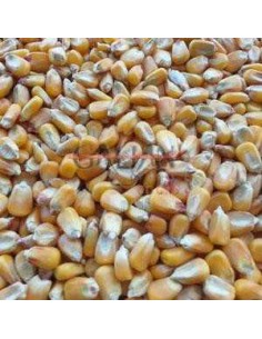 GALIAN COGASA MAIZ PALOMAS NACIONAL Nº1 GALIAN - 25 KG 25 KG - 2