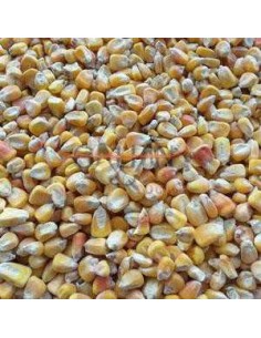 GALIAN COGASA MAIZ LIMPIO 25 KG 25 KG - 2