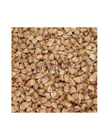 GALIAN COGASA TRIGO SARRACENO GALIAN - 20 KG 20 KG - 2