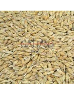 GALIAN COGASA CEBADA GALIAN - 25 KG 25 KG - 2