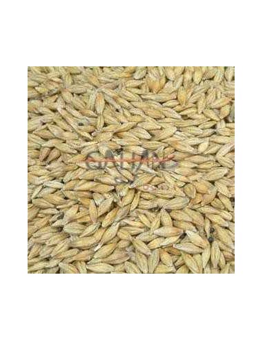 GALIAN COGASA CEBADA GALIAN - 25 KG 25 KG - 2