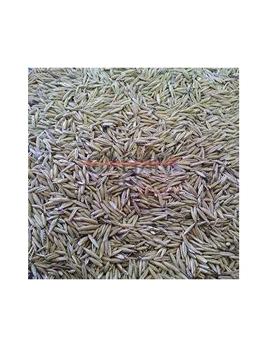 GALIAN COGASA AVENA GALIAN - 25 KG 25 KG - 2