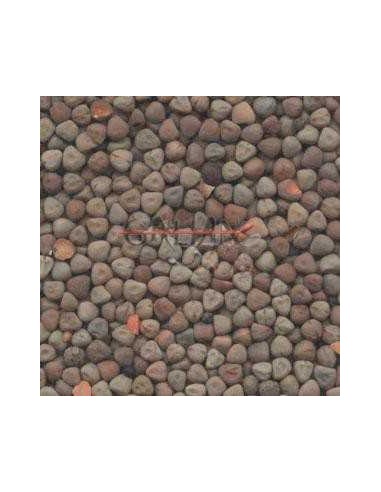 GALIAN COGASA YEROS ROJOS GALIAN - 25 KG 25 KG - 2