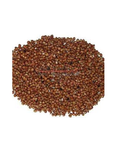 GALIAN COGASA SORGO ROJO GALIAN - 25 KG 25 KG - 2