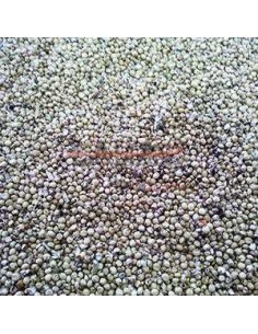 GALIAN COGASA DARI BLANCO GALIAN - 25 KG 25 KG - 2