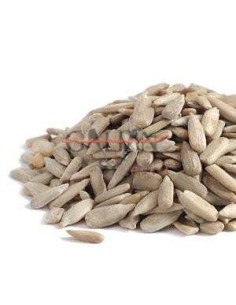 GALIAN COGASA PIPA GIRASOL MONDADA GALIAN - 25 KG 25 KG - 2