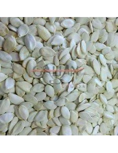 GALIAN COGASA PIPA CALABAZA GALIAN - 25 KG 25 KG - 2