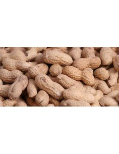 GALIAN COGASA CACAHUETE CON CASCARA TOSTADO GALIAN - 5 KG 5 KG - 2