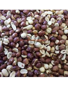 GALIAN COGASA CACAHUETE MONDADO TOSTADO GALIAN - 5 KG 5 KG - 2