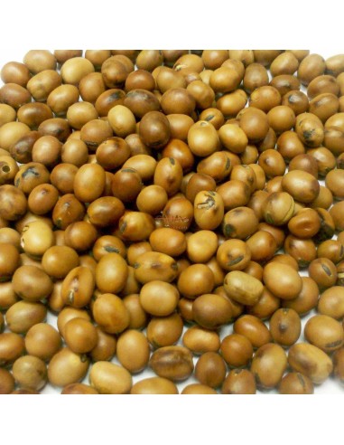 GALIAN COGASA HABONES PARA PALOMAS GALIAN - 25 KG